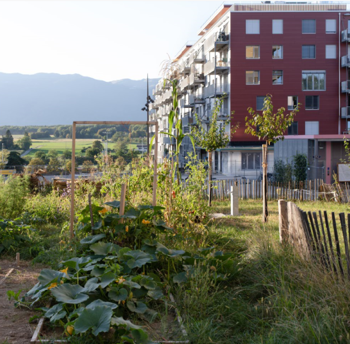 Visite du quartier et des bâtiments de la Codha aux Vergers (Meyrin)